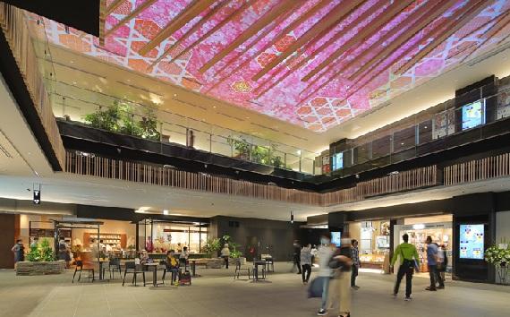 よかど鹿児島-1