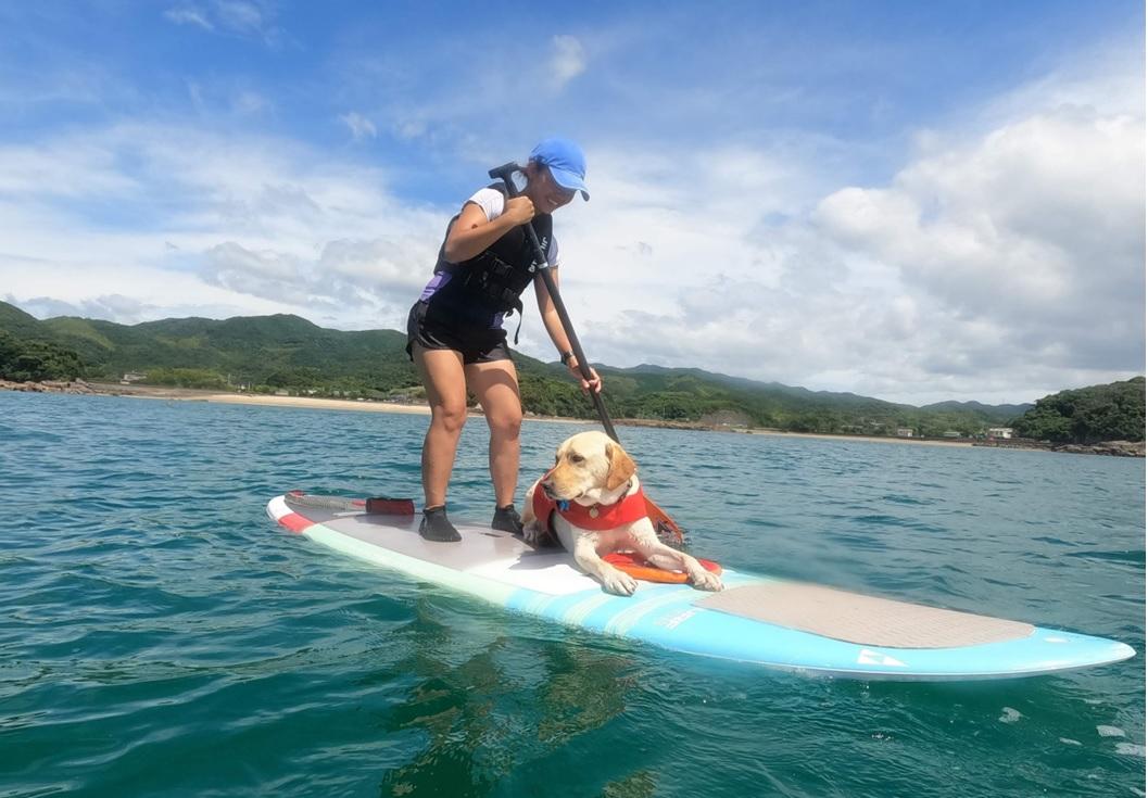 SUP体験（阿久根市地域おこし協力隊、まちの灯台阿久根）-0