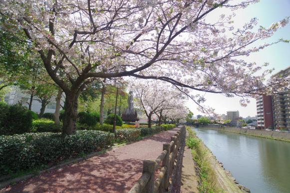 甲突川河畔-2