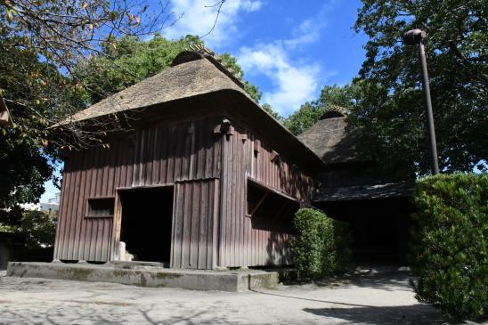 甲突川河畔-8