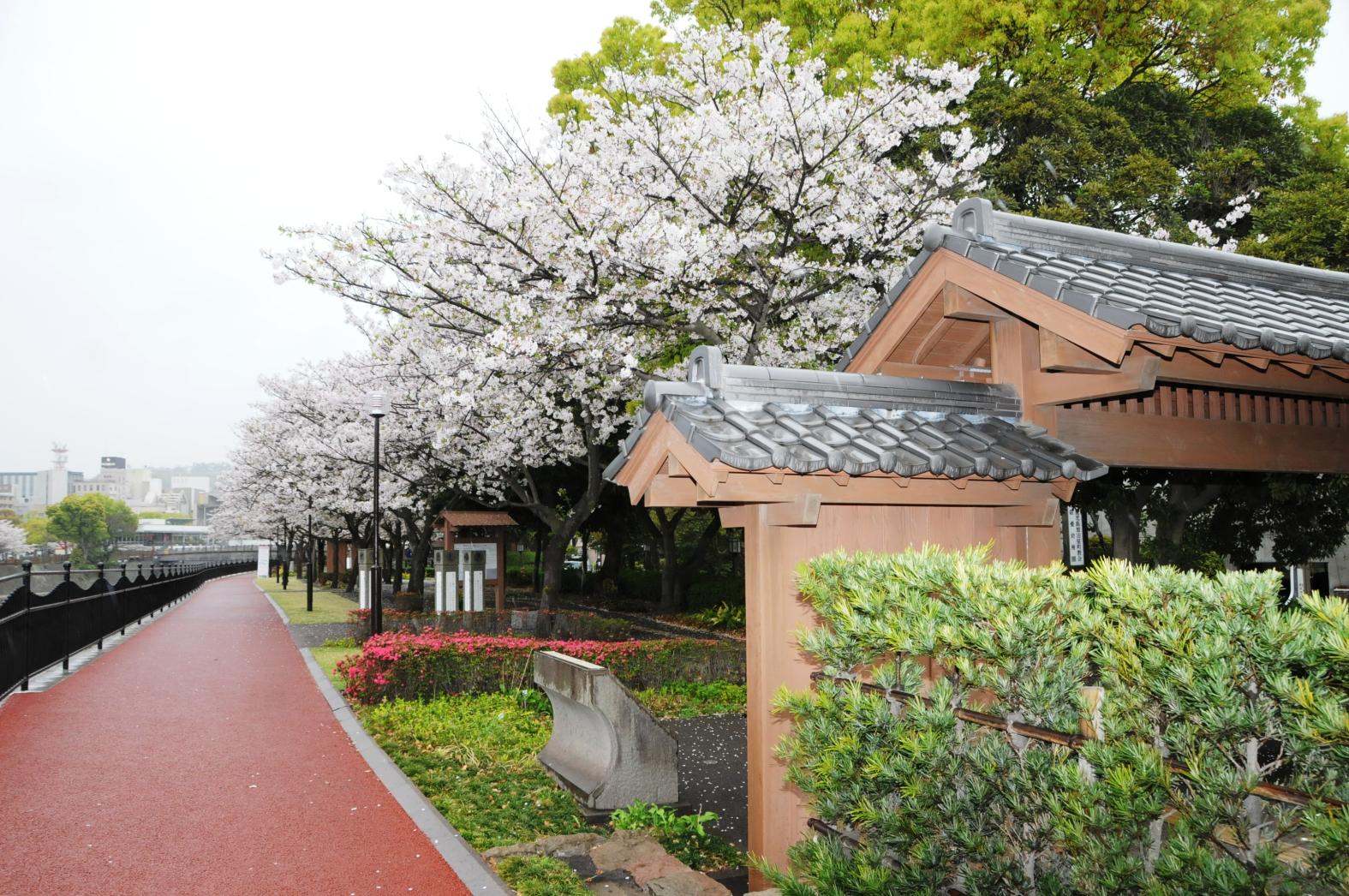 甲突川河畔-9
