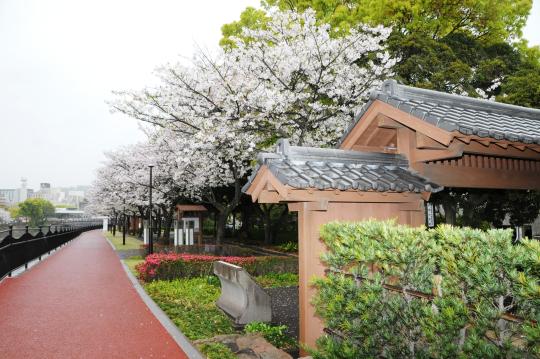 甲突川河畔-9