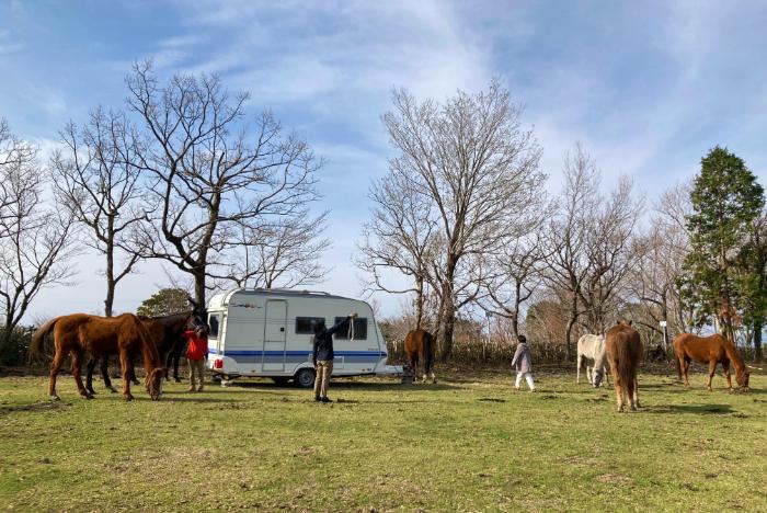 Horse Trust Well-being Experience-4