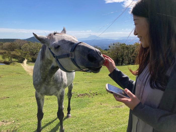 HORSETRUST Well-being（幸福感）体验-9