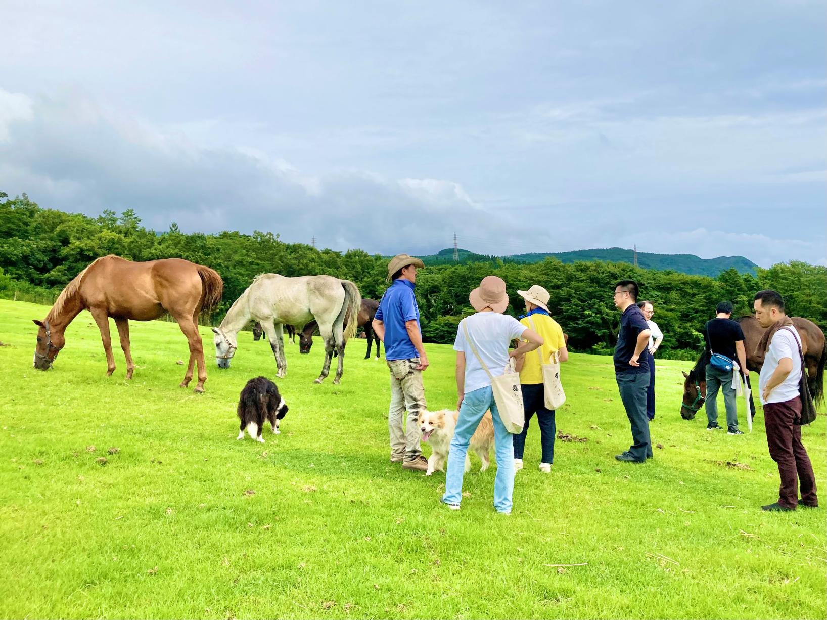 HORSETRUST 牧场徒步体验-5