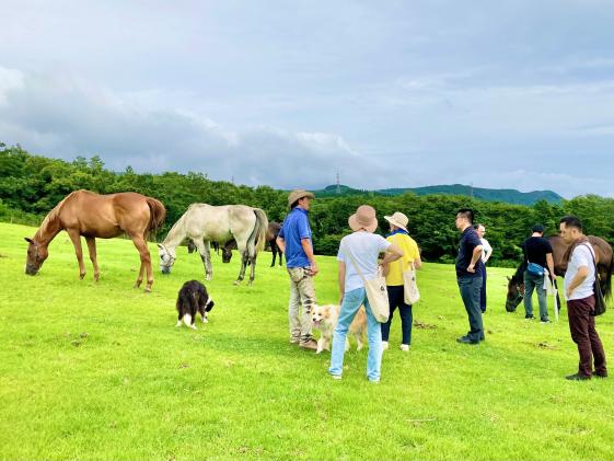 HORSETRUST 牧场徒步体验-5