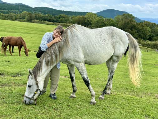 HORSETRUST 牧场徒步体验-1