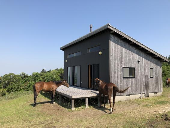HORSETRUST 牧场徒步体验-7