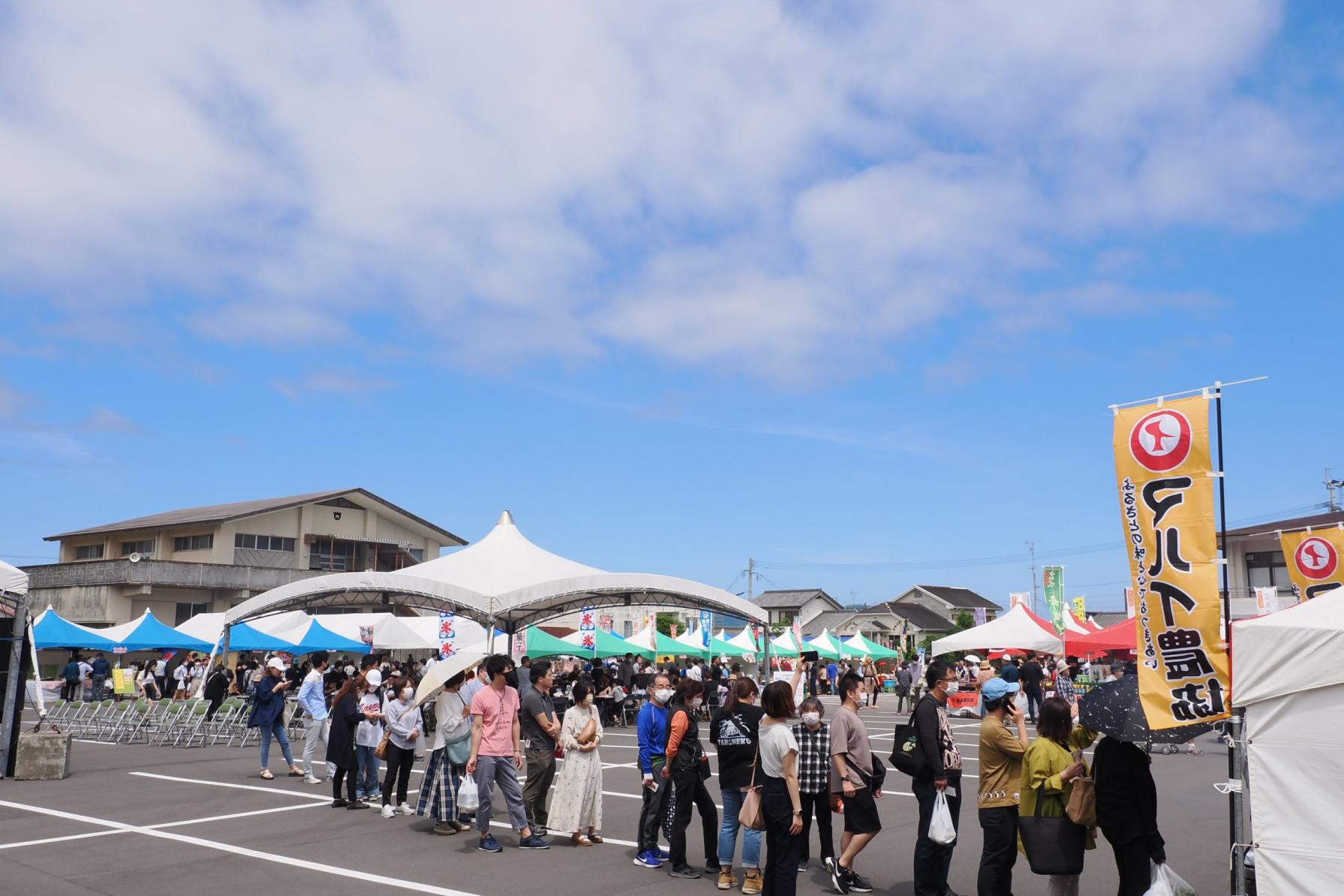 【2026】いずみ肉まつり-1