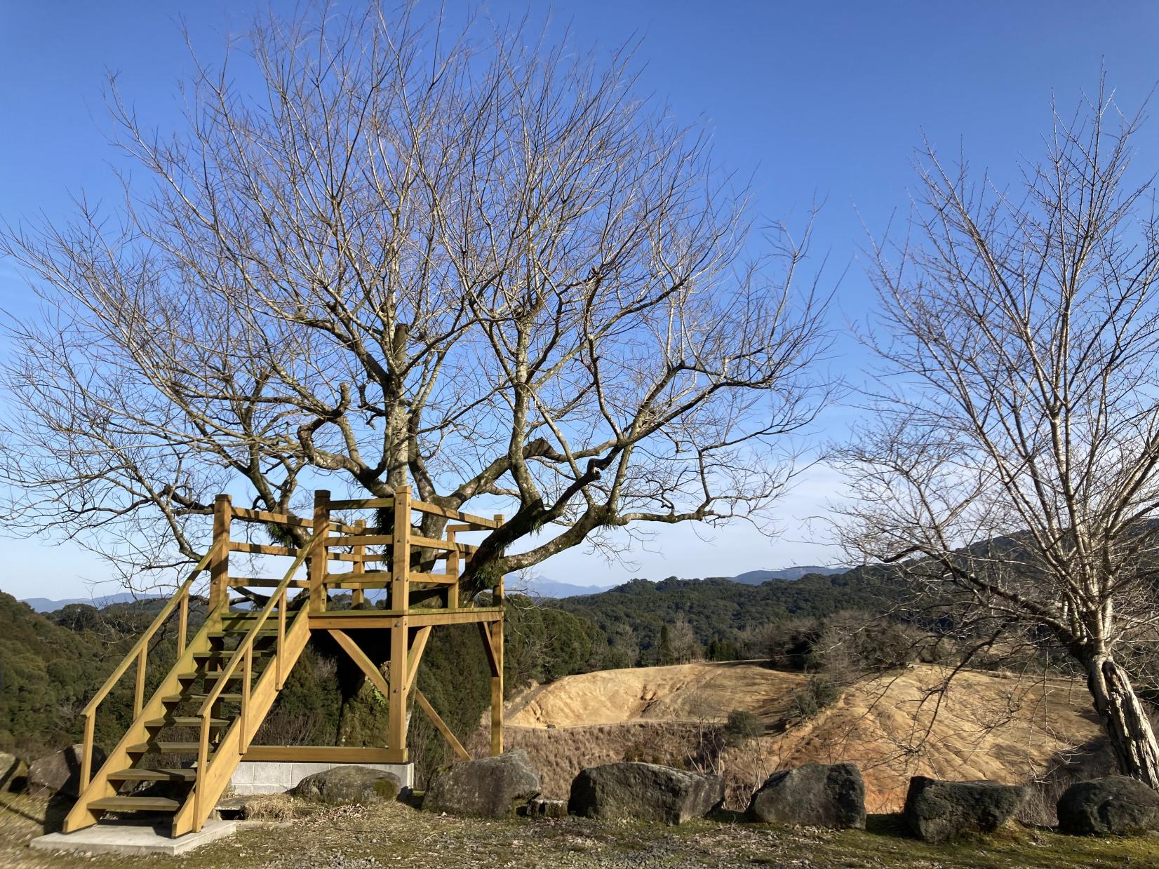 沖田黑豬牧場 - 牧場民宿餐廳「和 NODOKA」-7