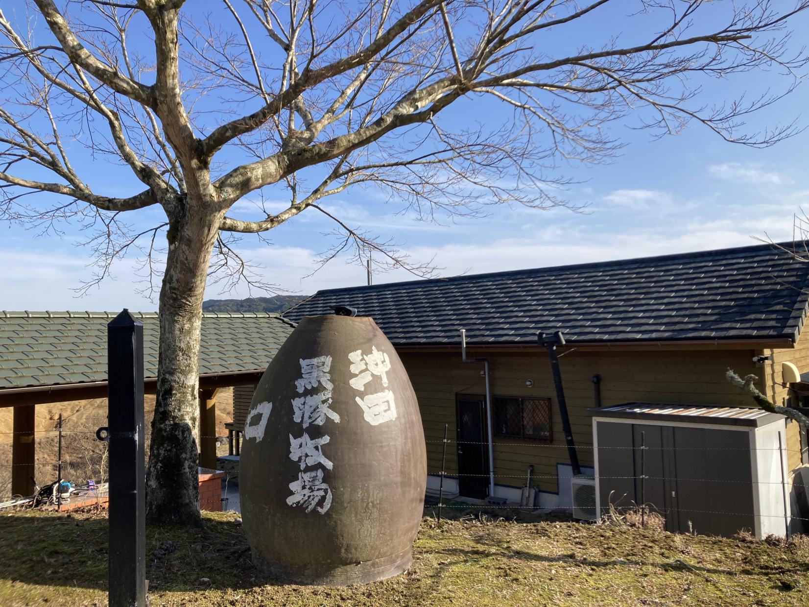 Ultimate Kurobuta (Black Pork) Course Meal in a Farmhouse Setting-8