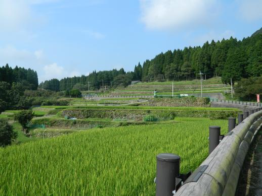 八重梯田-3