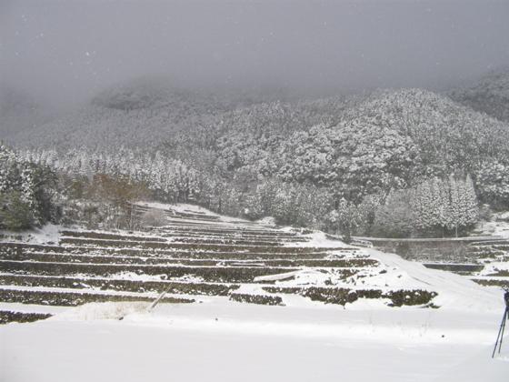 八重梯田-4