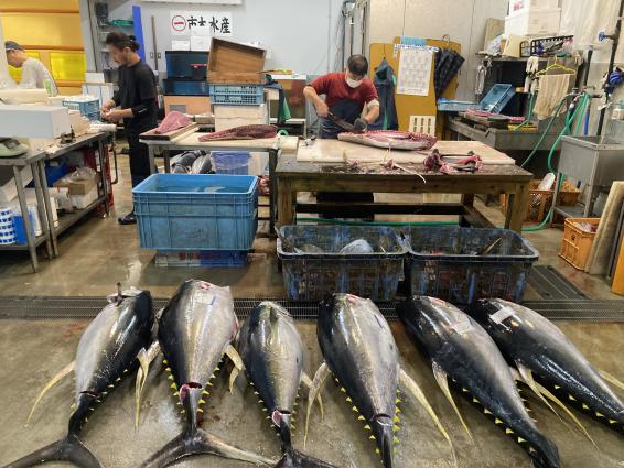 かごしま魚市場ツアー-5