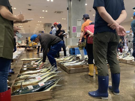 かごしま魚市場ツアー-3