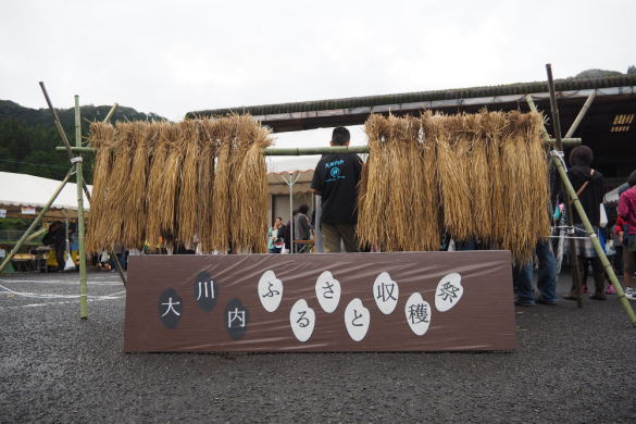 【2024】第9回大川内ふるさと収穫祭-0