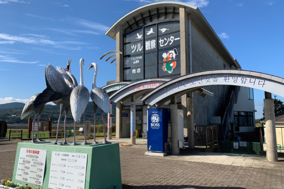 【2026】【出水市誕生20周年記念事業】世界湿地の日シンポジウム・出水バードフェスタ-1