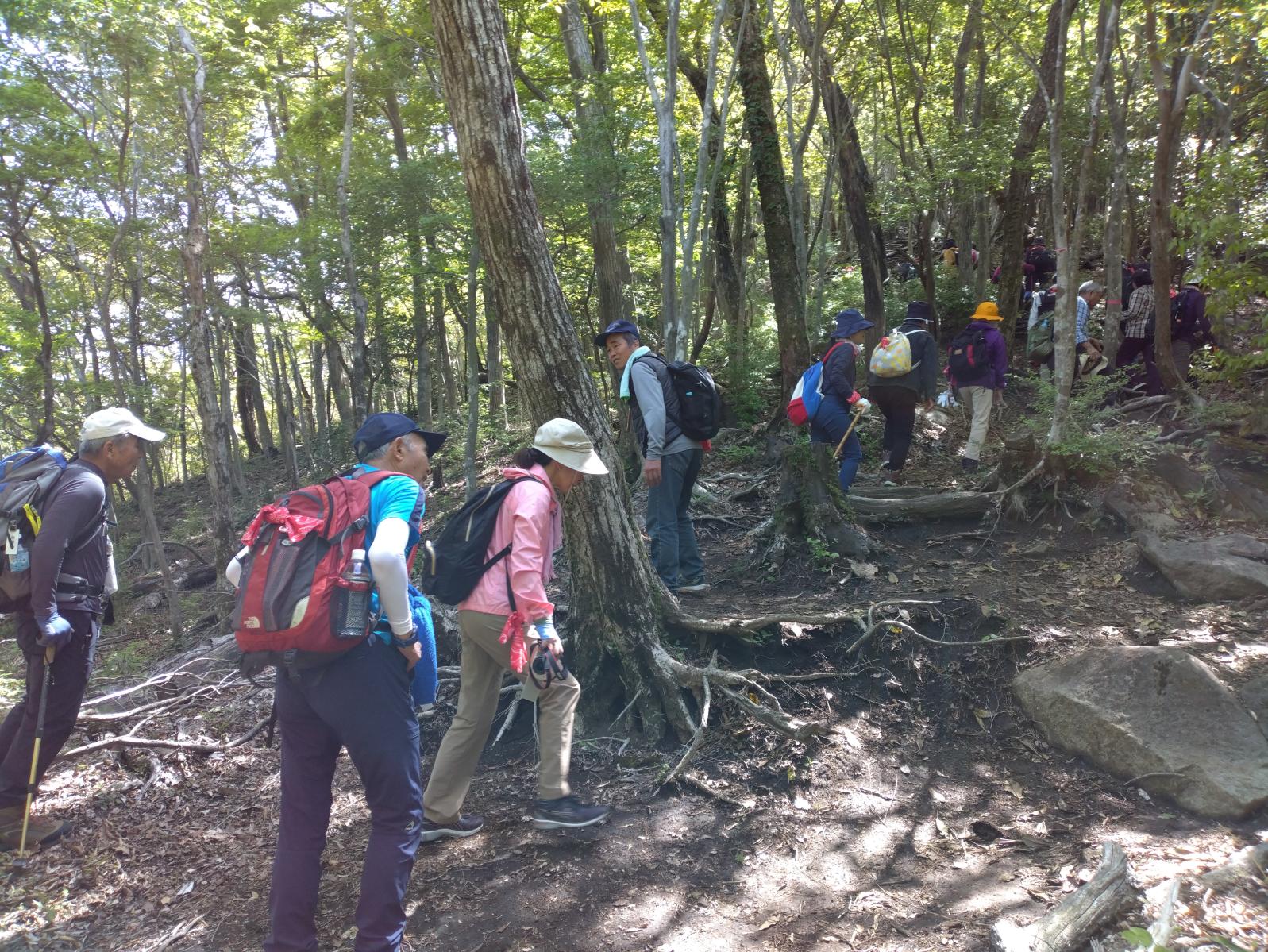 新緑あふれる栗野岳登山in湧水町｜九州への旅行や観光情報は九州旅ネット