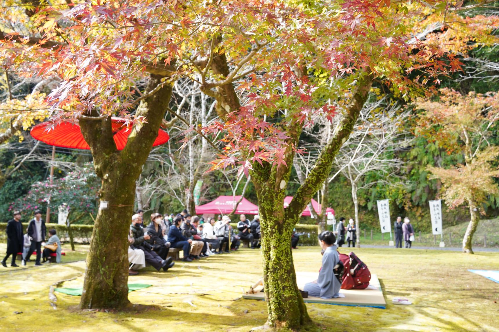 吾平山上陵の四季を楽しむお茶会-1