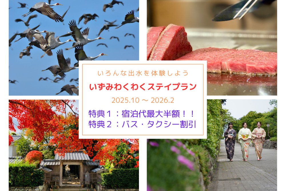 いずみわくわくステイプラン2025