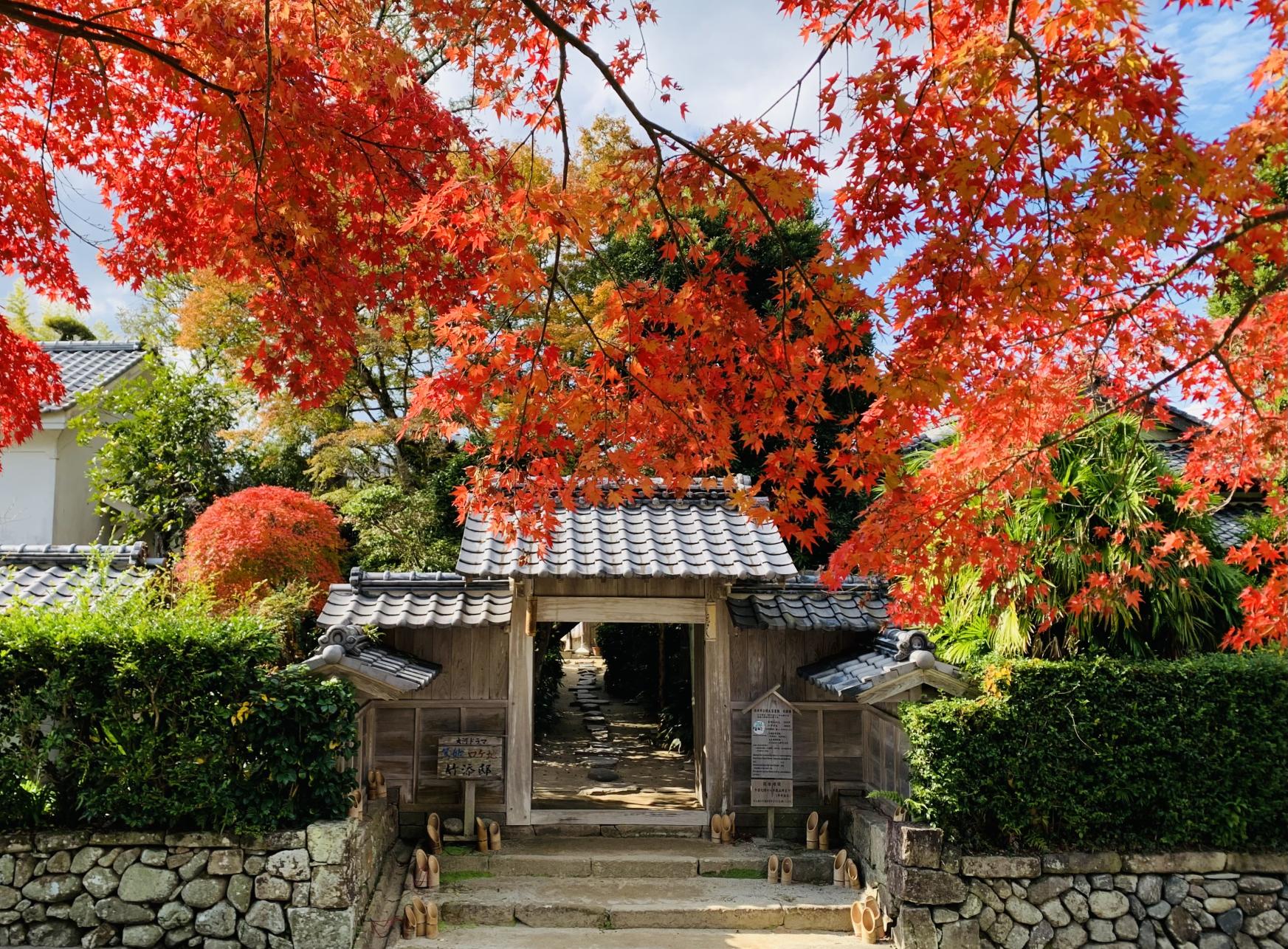 【2025】いずみわくわくステイプラン-2