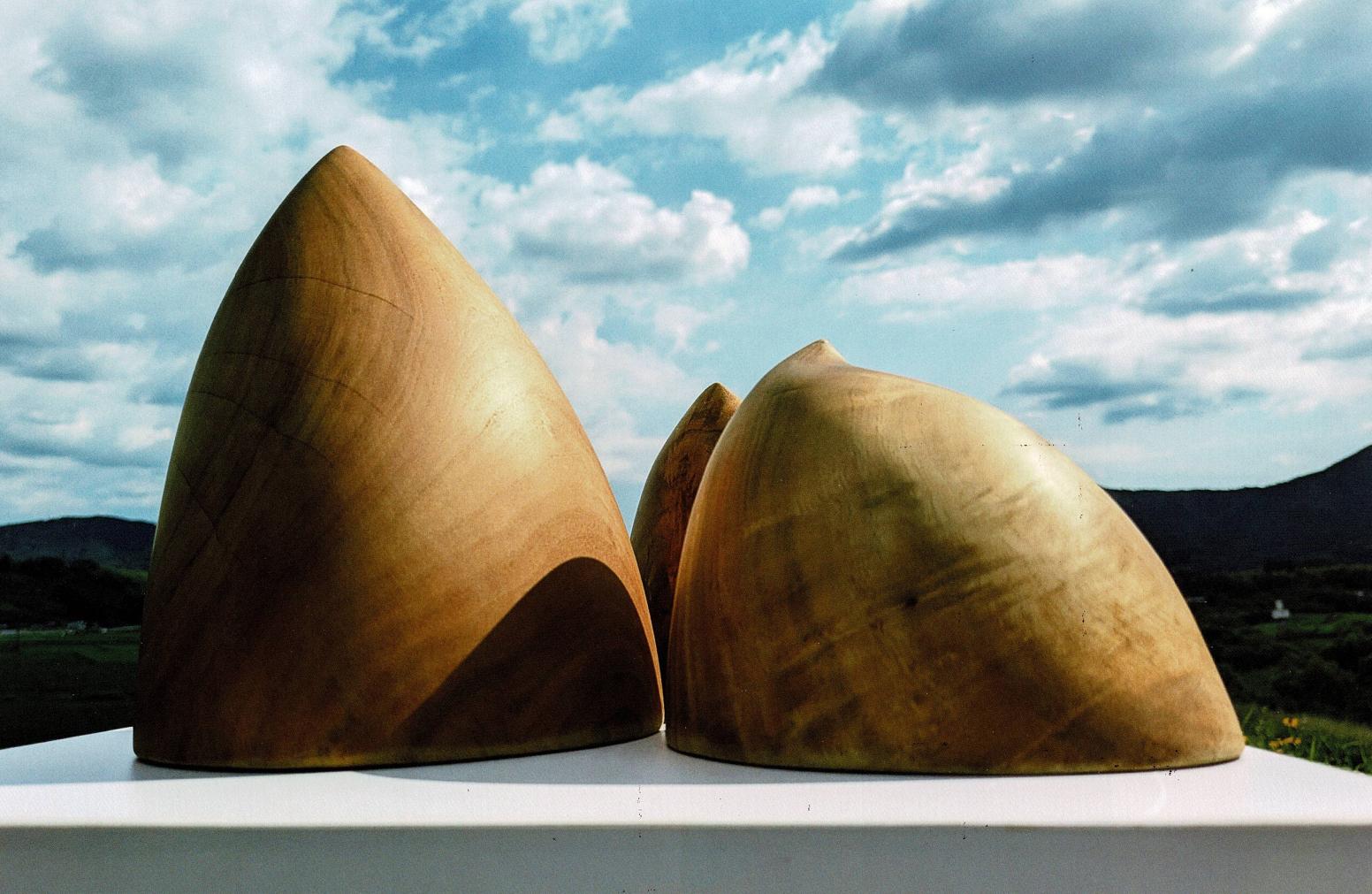 第109回　二科展巡回鹿児島展-4