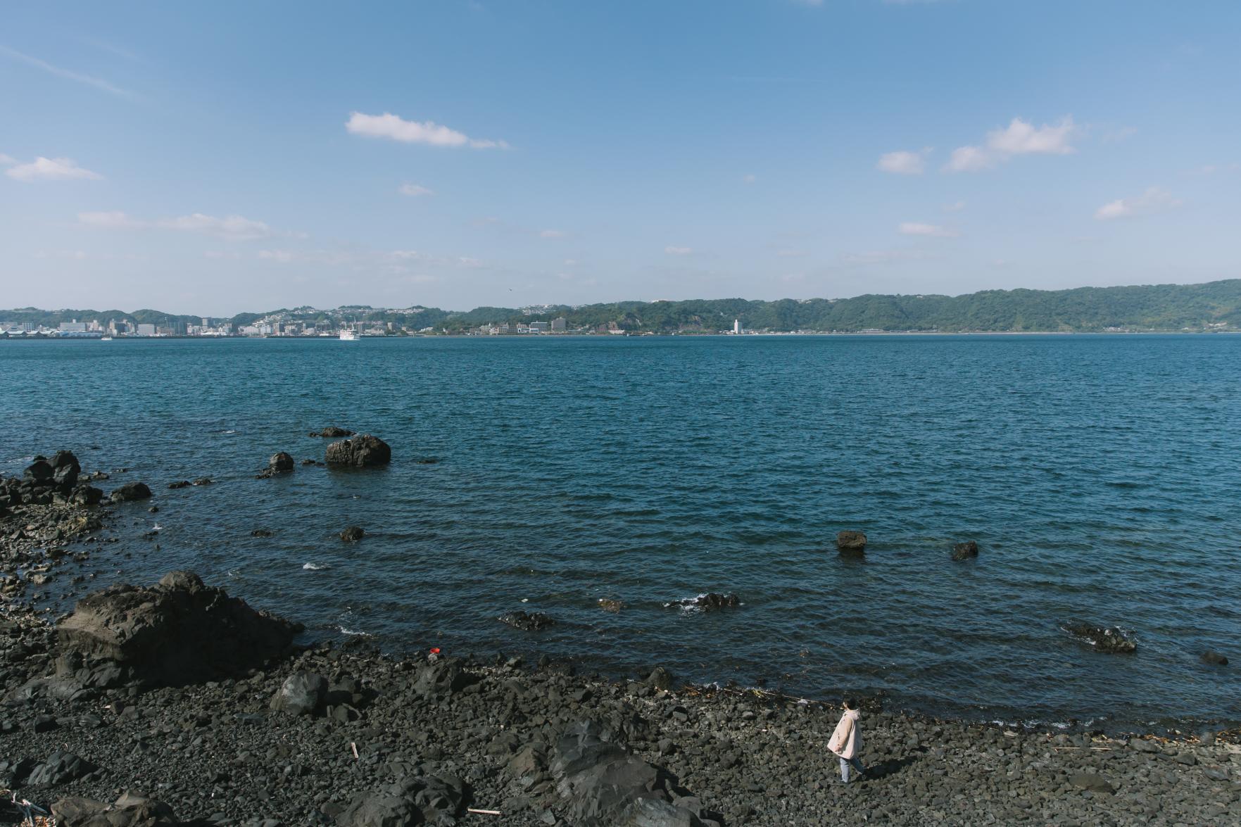 桜島サイクリングツアー　桜島一周まるごと探検！　桜島ミュージアム-5
