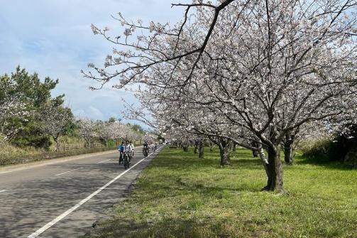 桜島サイクリングツアー　桜島一周まるごと探検！　桜島ミュージアム-0
