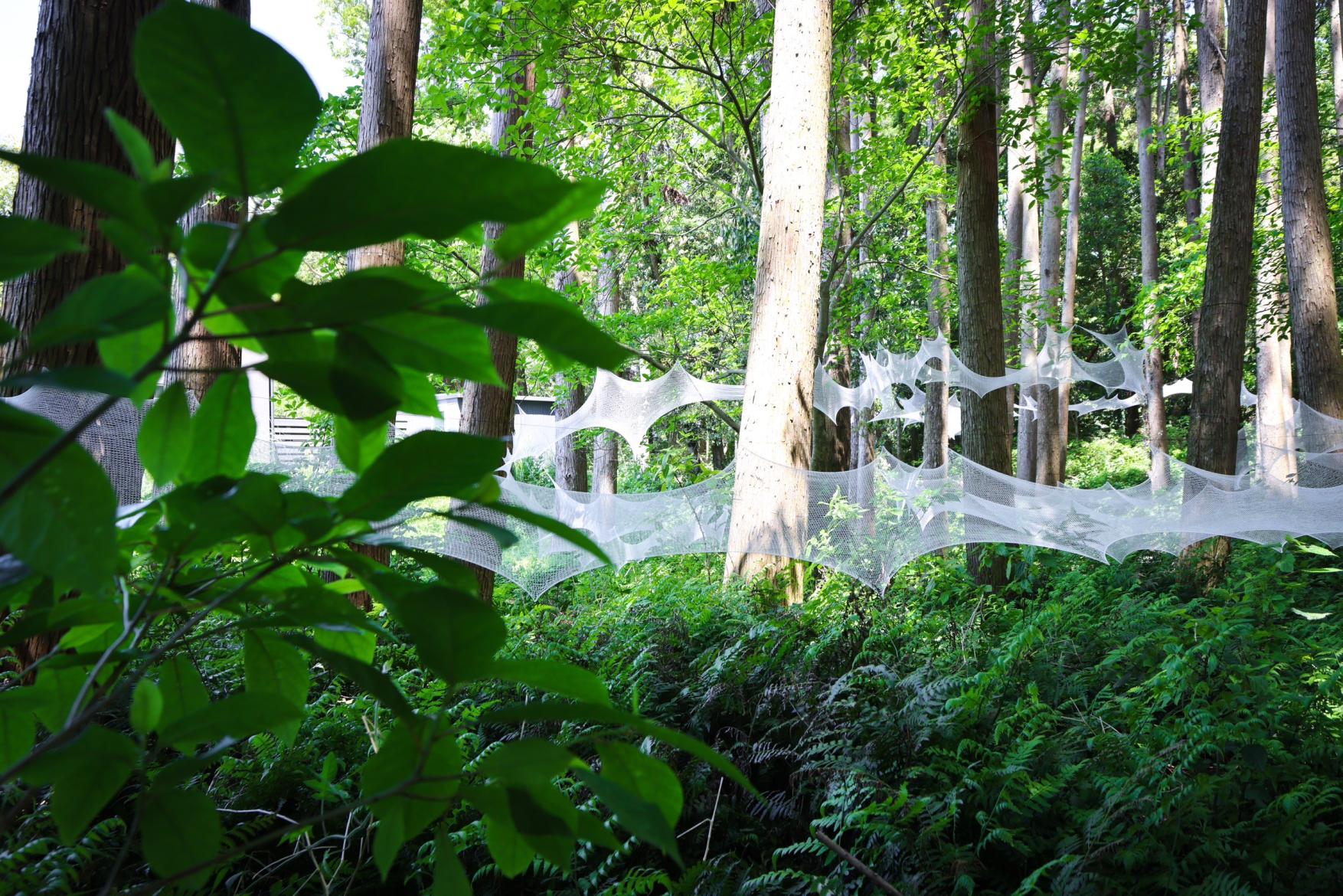 MIYAMA Biennale　１・目覚めの景色-7