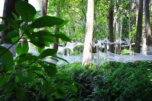 MIYAMA Biennale　１・目覚めの景色-7