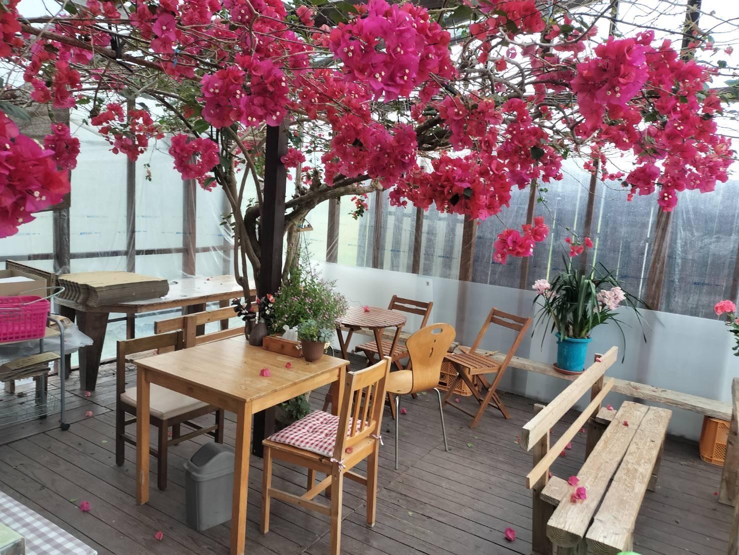 山のいちご屋さん ひがし農園-9