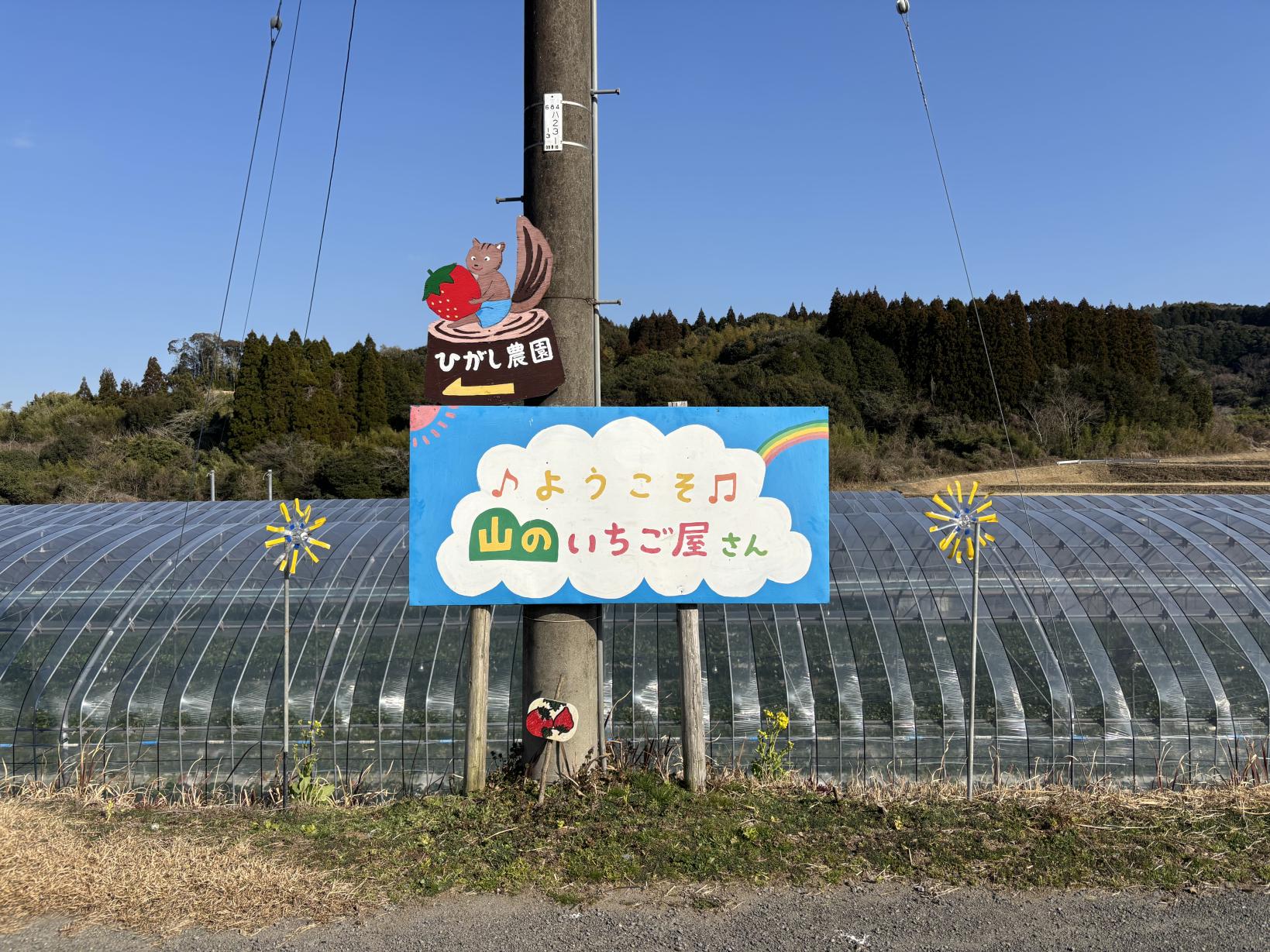 山のいちご屋さん ひがし農園-8