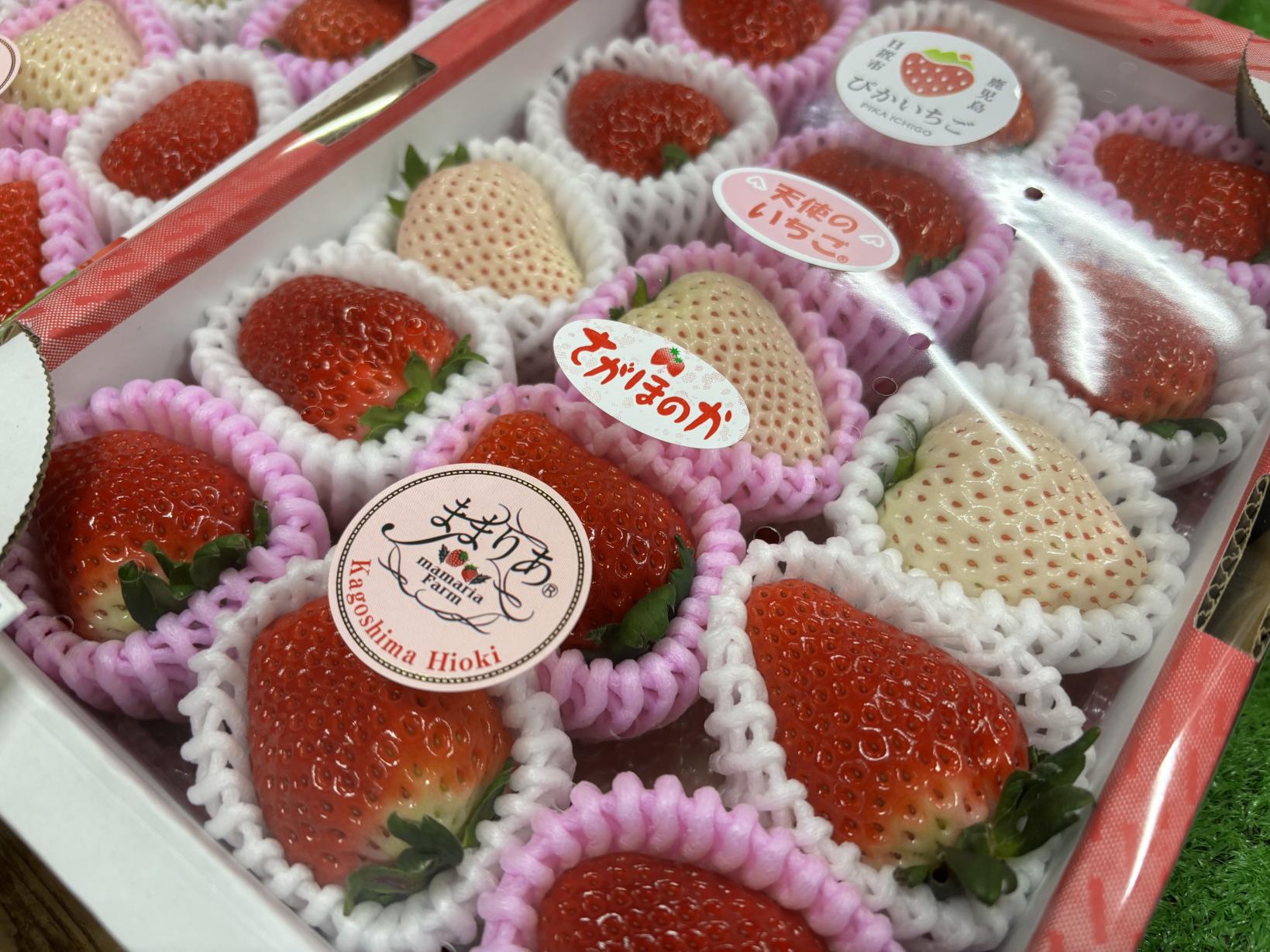 チェスト館-4