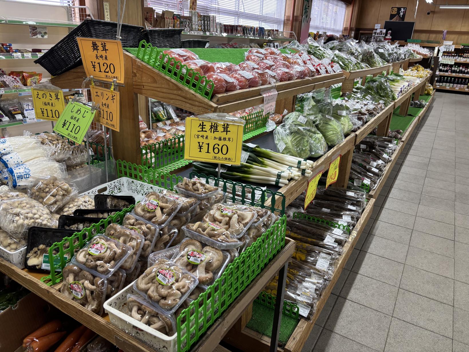チェスト館-1