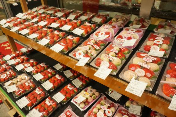 チェスト館-3
