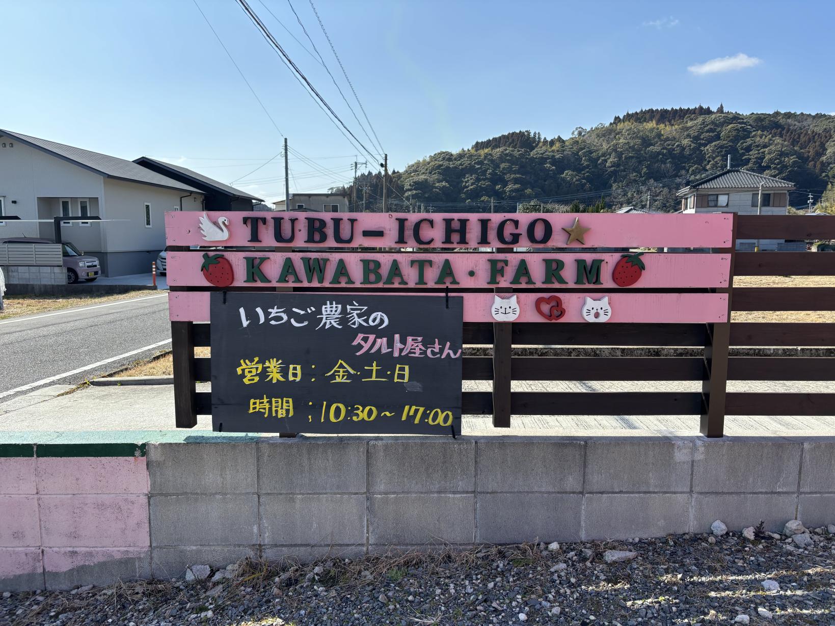 tubu-ichigo-9