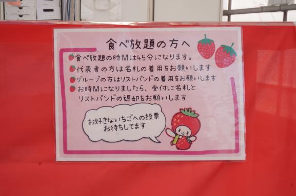 観光農園サナスビレッジ-6