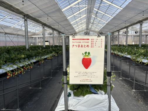 観光農園サナスビレッジ-3