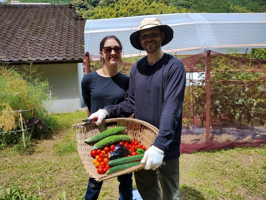 野菜・果物収穫体験【里山清流亭】-1