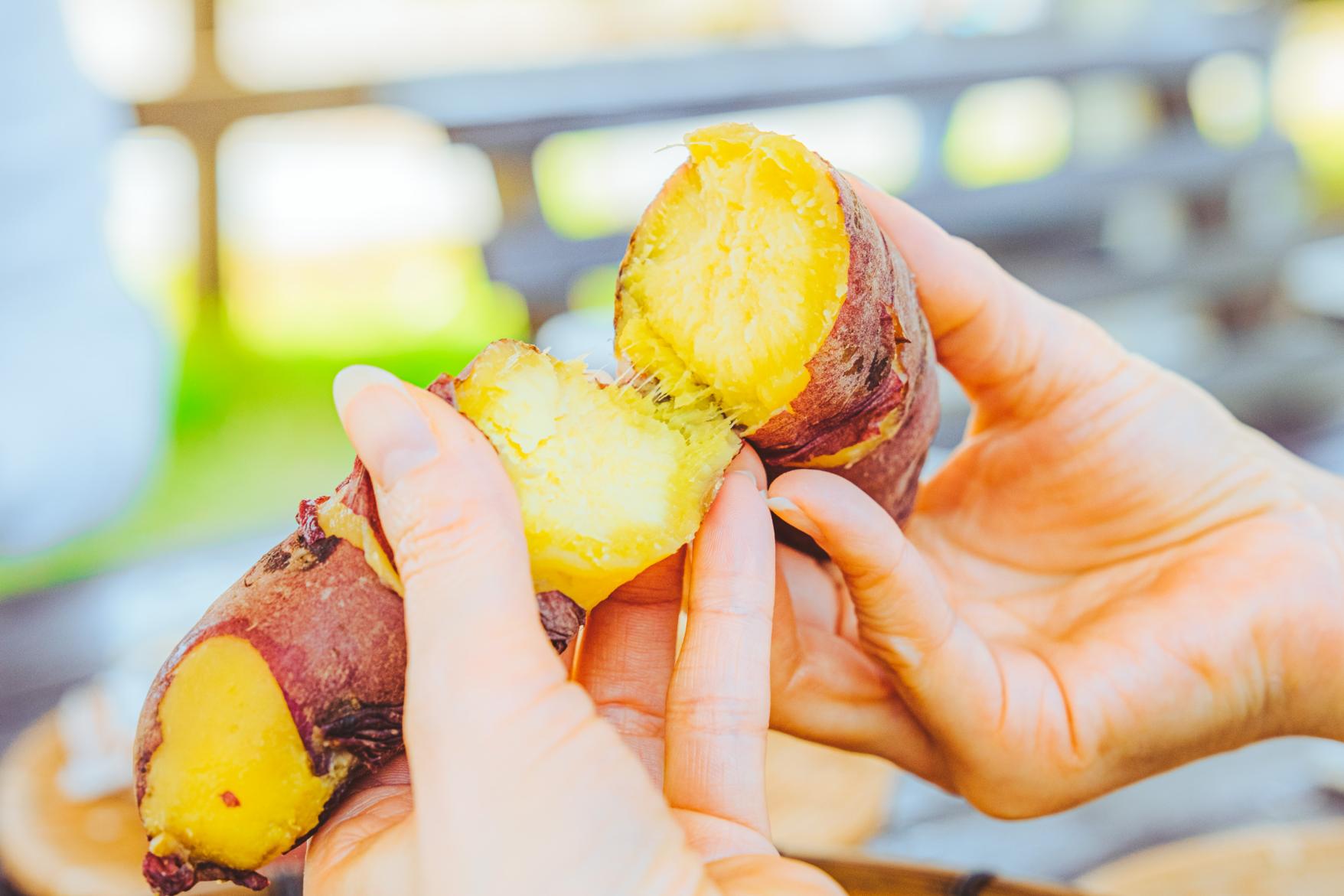 鰻温泉スメ広場（天然のかまど「スメ」）-6