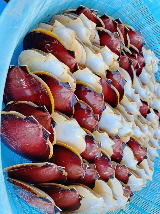 第５回  月日祭 ㏌ 江口浜-3