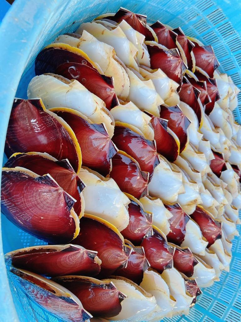 第５回  月日祭 ㏌ 江口浜-3