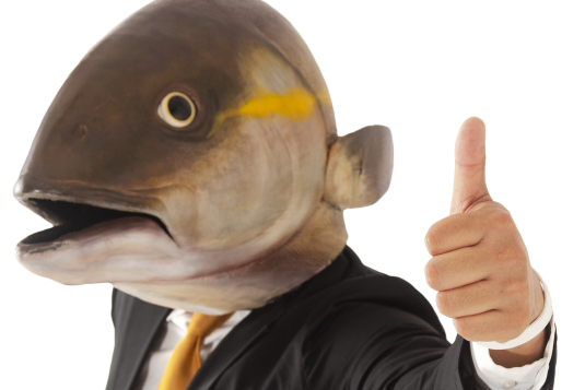 【2025】カンパチロウFES in 霧島ヶ丘公園-1