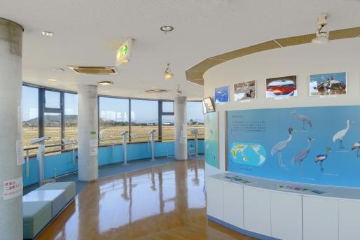 【2025】出水市ツル観察センターオープニングイベント-1