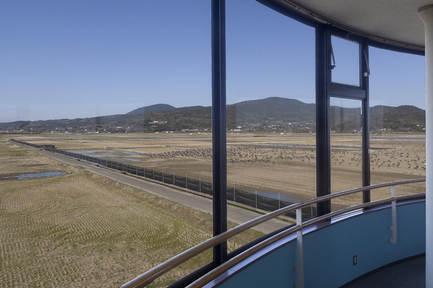 【2025】出水市ツル観察センターオープニングイベント-2