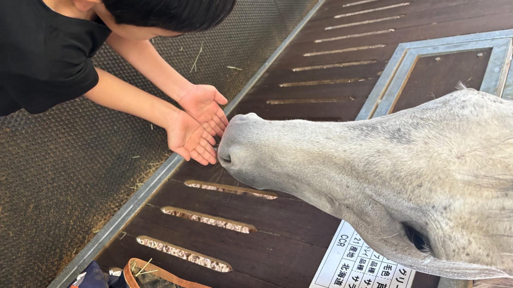 SKLV 南九州獣畜産医学拠点-4