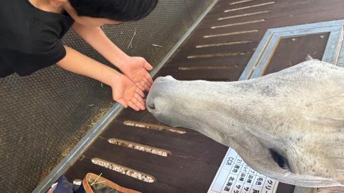 SKLV 南九州獣畜産医学拠点-4