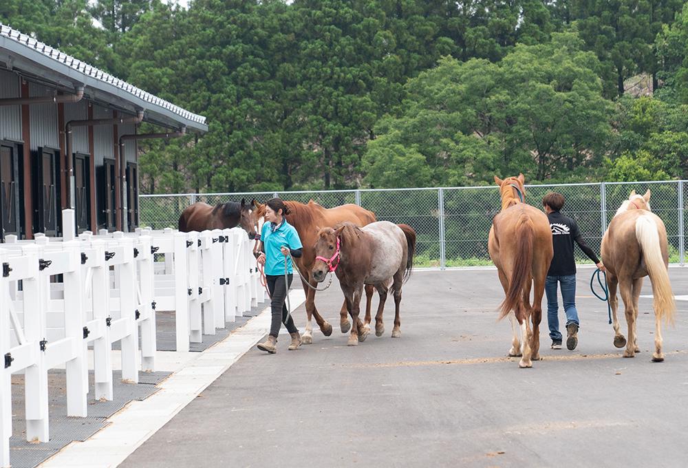 SKLV 南九州獣畜産医学拠点-2