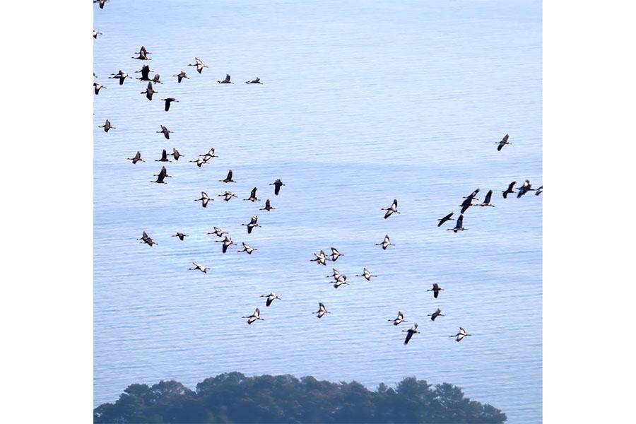 エコツアーガイドIZUMI / 出水市-4