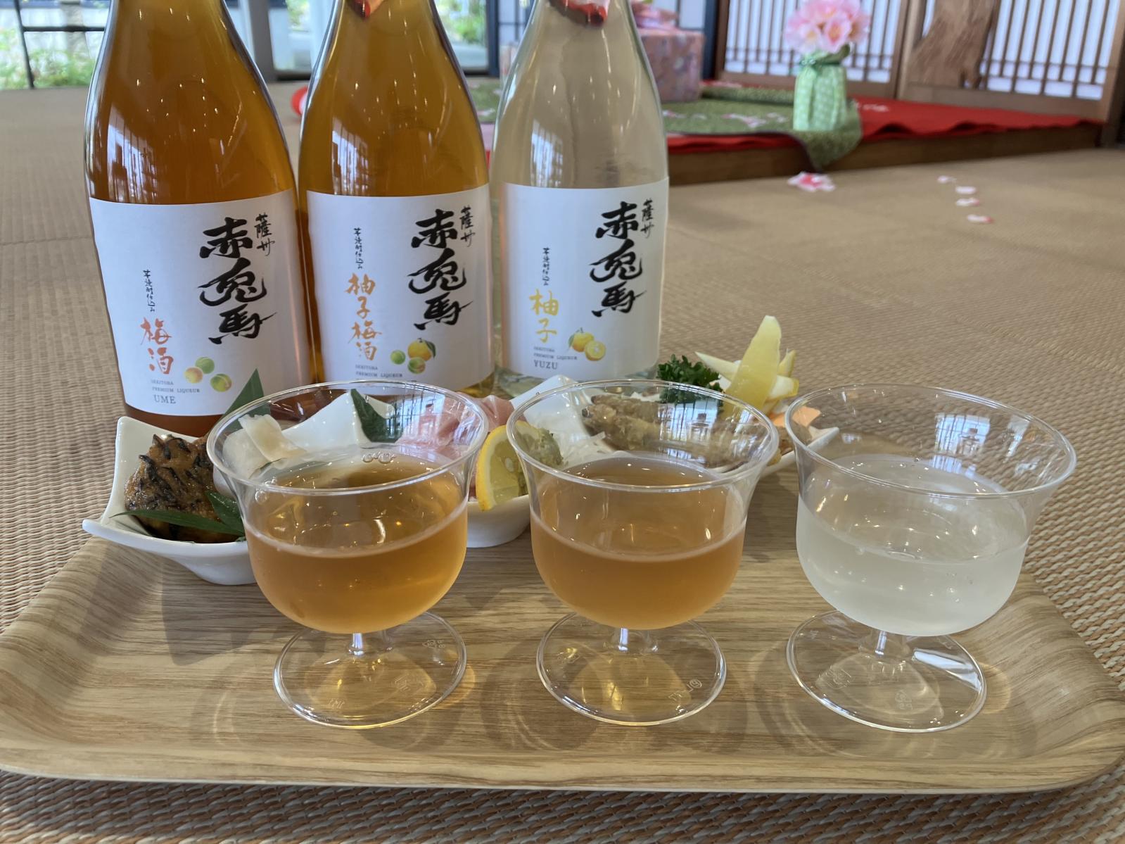 【薩州濵田屋伝兵衛　開業25周年】午年GW限定企画「焼酎の魅力再発見！」-3